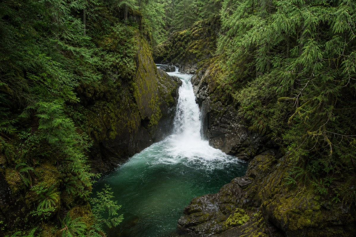 Englishman River Falls pouring through a mossy rock canyon into a green pool in a provincial park on Vancouver Island