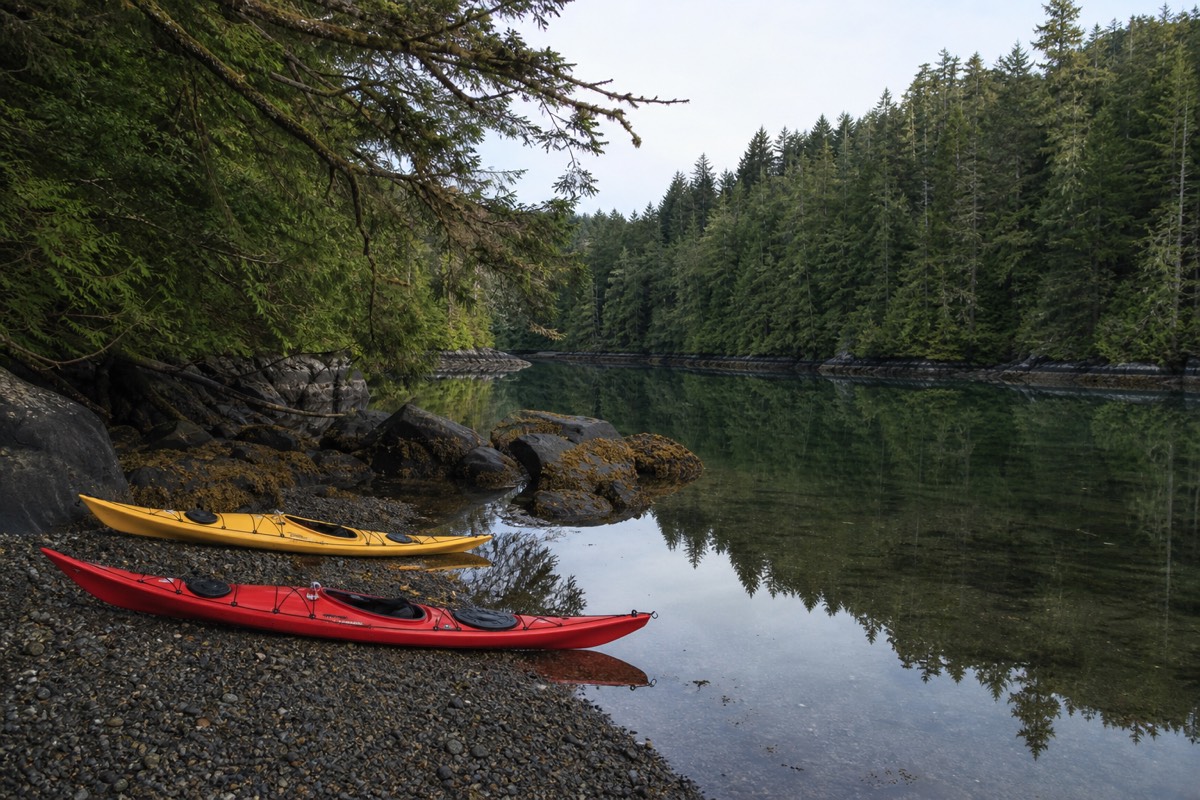A pair of sea kayakers paddling calm sheltered water in Clayoquot Sound near Tofino with rainforest shoreline behind