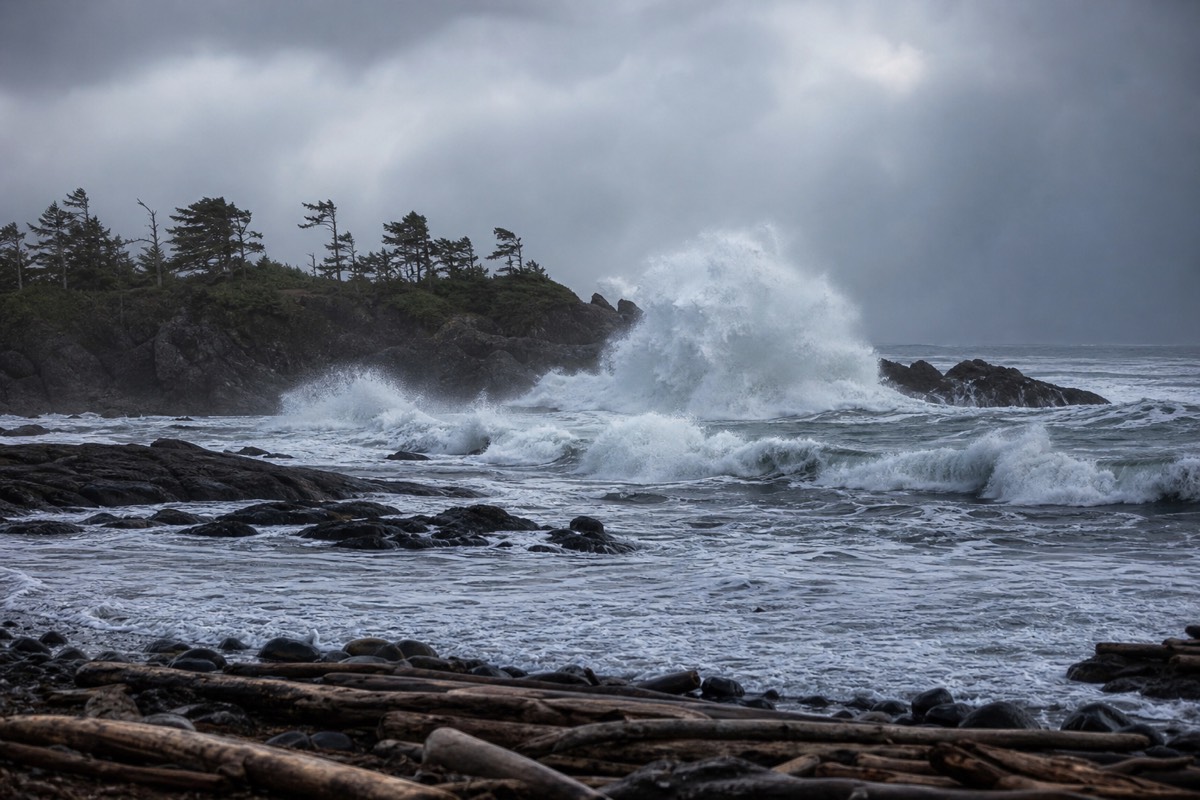 Huge grey Pacific storm waves exploding against a rocky headland near Tofino under a low winter sky with wind-bent trees
