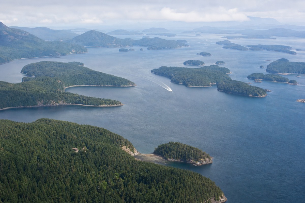 The Vancouver Island coast