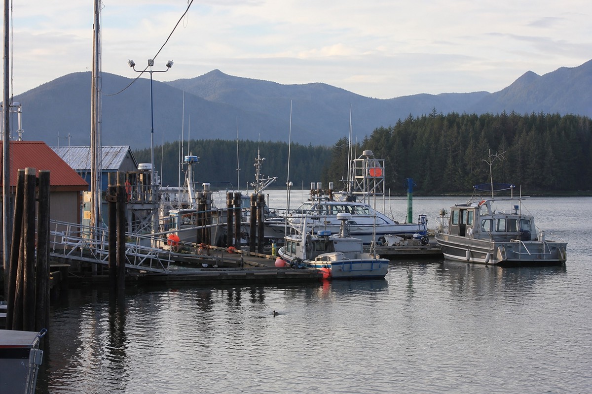 Tofino harbour at low light with fishing and tour boats moored and forested islands of Clayoquot Sound behind