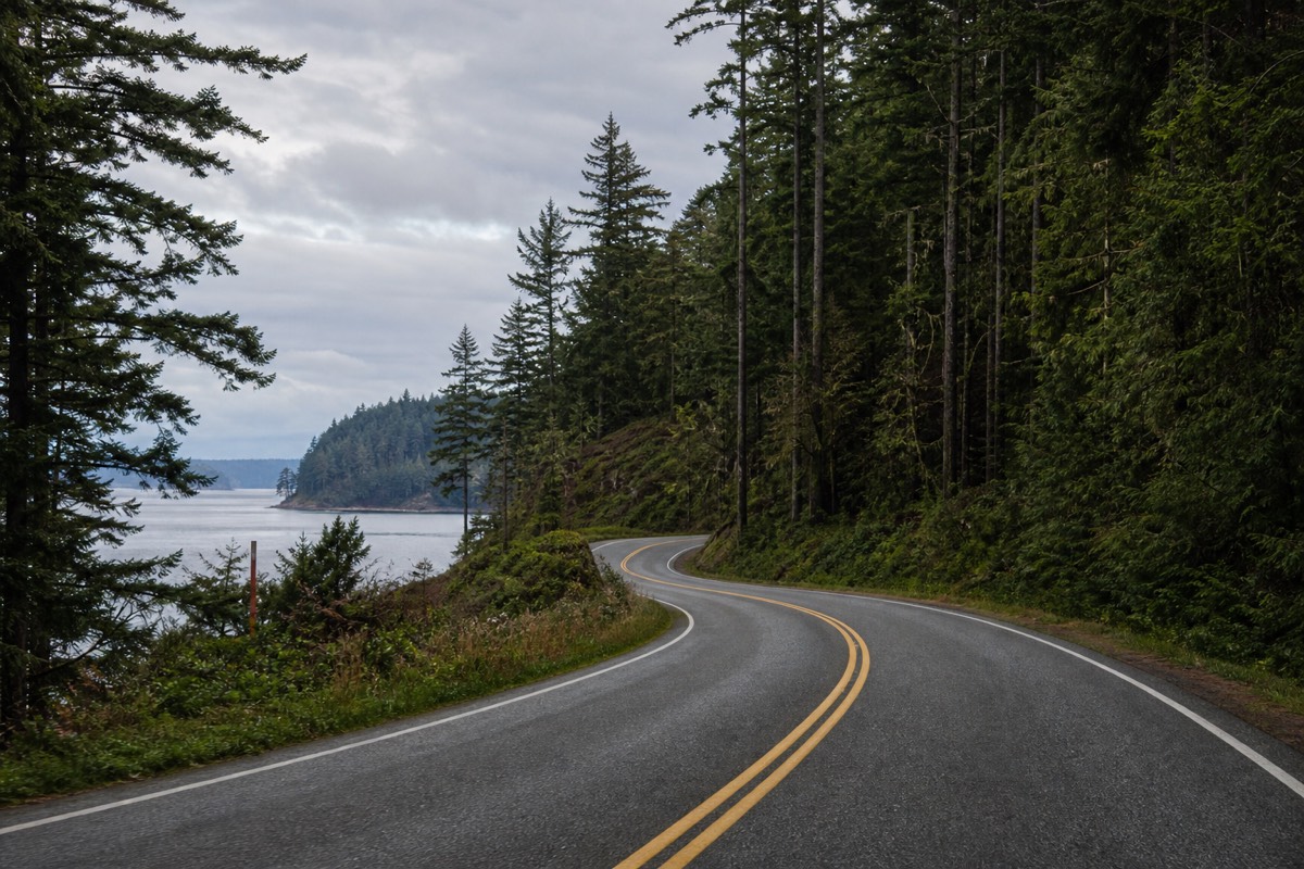 The Vancouver Island coast
