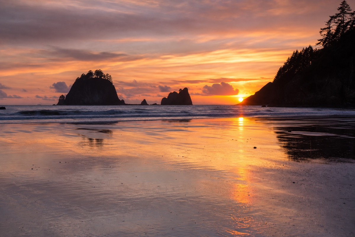 The Vancouver Island coast