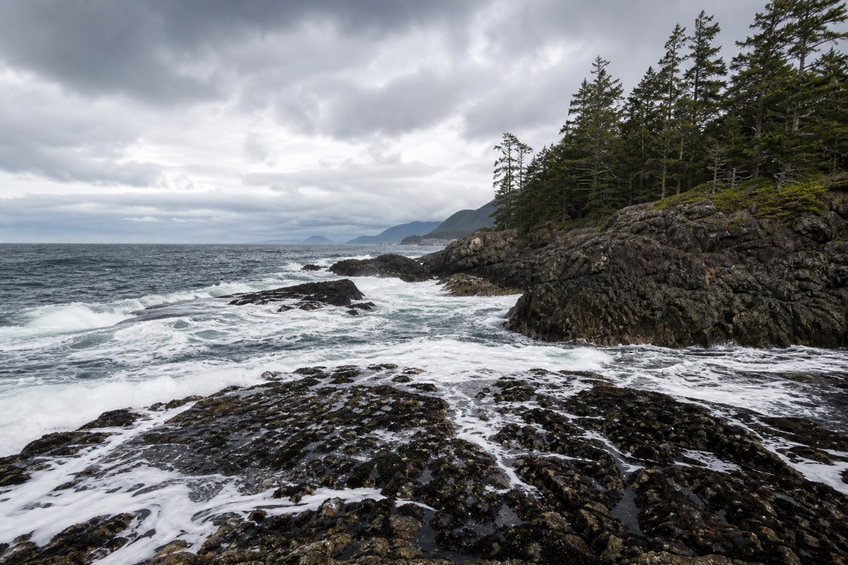 The Vancouver Island coast