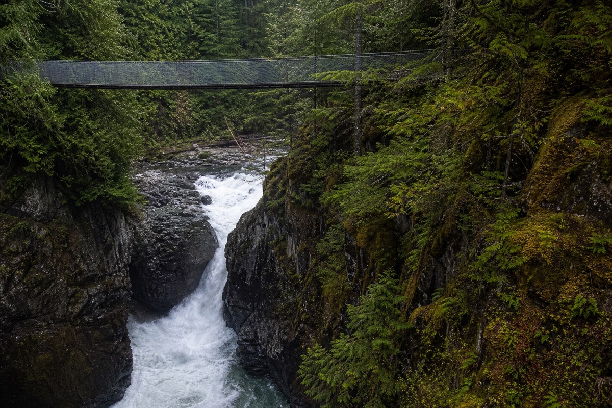 A forest waterfall on Vancouver Island