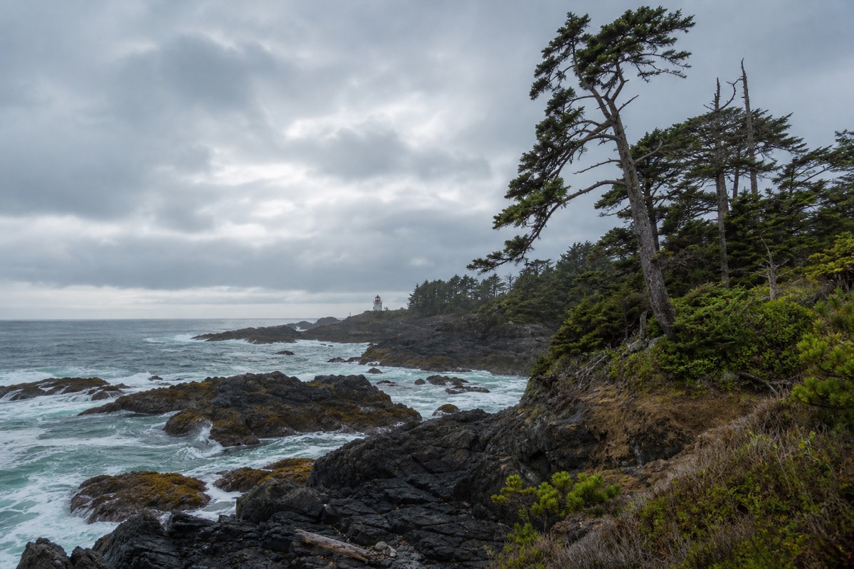 The harbour at Tofino on Vancouver Island's west coast