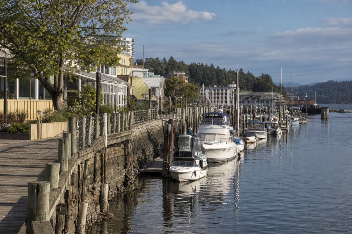 Nanaimo harbour on Vancouver Island with a small passenger foot-ferry crossing toward forested Newcastle Island under soft morning light