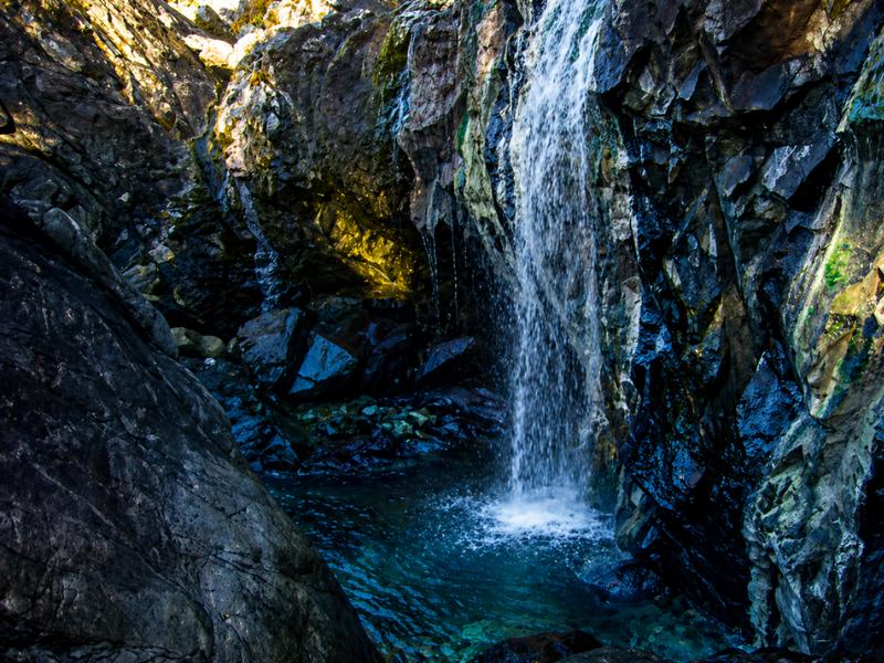 Tofino Hot Springs Cove Tour with Wildlife Cruise
