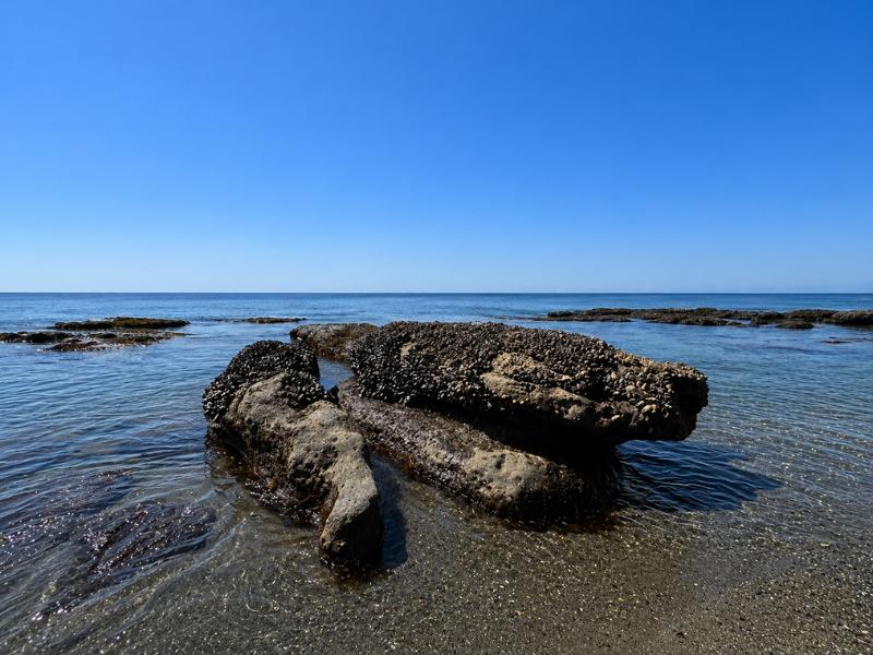 Victoria West Coast Seals, Picnic, Rainforest & Waterfall Tour